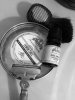 SOTD 6-26-17.JPG