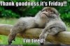 115967-Tgif.jpg