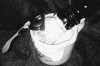 20170706_014332.jpg
