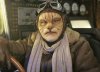 cat pilot.jpg