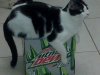 IMG01334.jpg