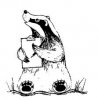 badger.jpg