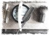 IMG_3753.jpeg