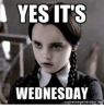 IMG_0727.PNG