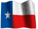 texasflag.gif