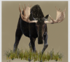 Moose chare.png