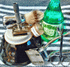 SOTD 08062017.gif