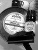 SOTD 8-7-17.JPG