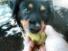 DOTD Hurley.gif
