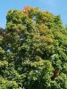 20170904_093920.jpg