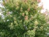 DSCF2876.JPG