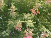 DSCF2874.JPG
