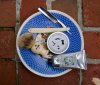 DSC05346.jpg