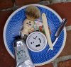DSC05350.jpg