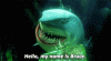 IMG_1798.GIF