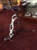 Andromeda 1.JPG
