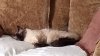 IMG_20170923_153905152~01.jpg