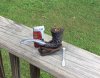 IMG_1474.JPG