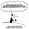 Funny-Penguin-the-funpop-12052113-432-436.jpg