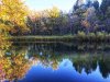 IMG_1799.JPG
