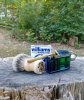 SOTD 18 Oct 2017.jpg