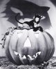 halloweenpinup3.jpg