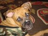 DSC01167.jpg