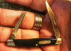 Buck 305 (1990).gif
