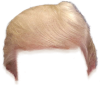 hair_5.png