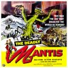 Deadly Mantis.jpg