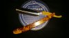 rps20171114_005601_163.jpg