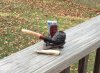 IMG_1501.JPG
