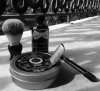 SOTD 11-20-17.JPG