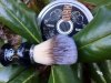SOTD 11-21-17.JPG
