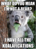 koalapun.png