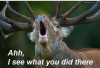 Moose comment.png