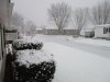 Snow_171208-3.JPG