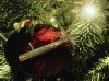 20171221_201507_1513887404744.jpg