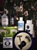 sotd 12.22.2017.jpg