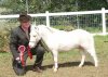 short white horse.jpg