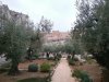 Garden of Gethsemane looking toward the Eastern Gate of the Temple (1).jpg