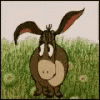 9C5B954C-A17F-4DFF-9660-3BCE069915E7.gif