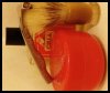 IMG_20180109_161401.jpg