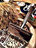 SOTD 1-12-18.JPG
