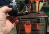 F7561381-C8E2-44F8-B4DC-8C389BCADAE6.jpeg