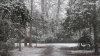 0117180950b-2124x1195.png