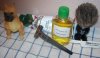 100_4121.JPG