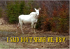 Moosewhite.png