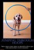 jumping thru hoops.jpg