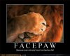 Facepalm_5524da_296441.jpg